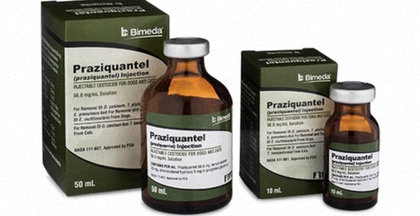 Praziquantel Bestellen Generika online